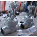 Power Station High Pressure Gate Valve (DN73 100V)